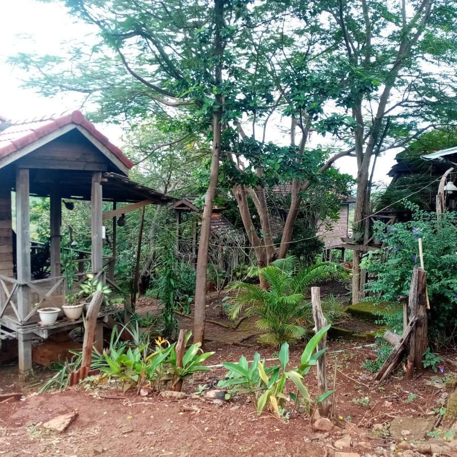 Quiet Garden View Lodge&Trekking Banlung Bagian luar foto